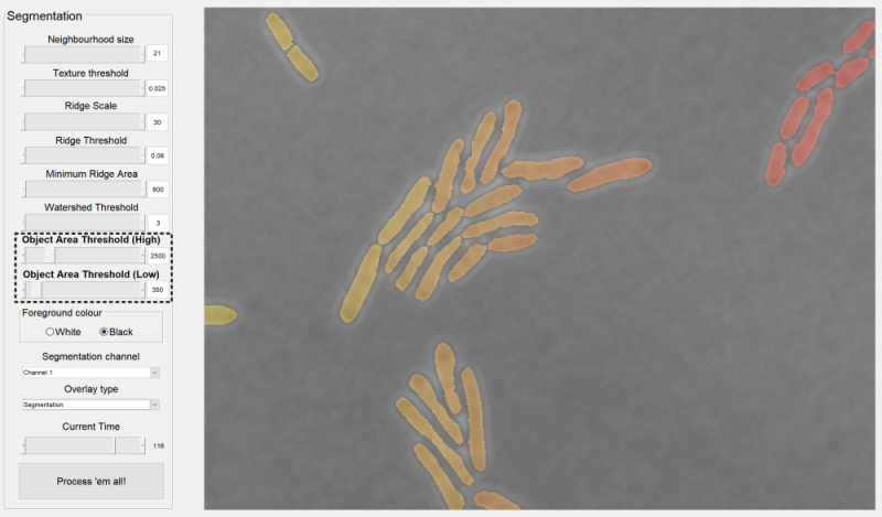 segmentationfinal.png segmentationfinal.png