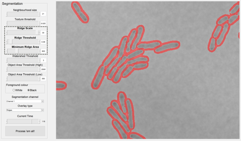 segmentationridge.png segmentationridge.png