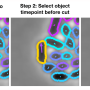cutexplain.png